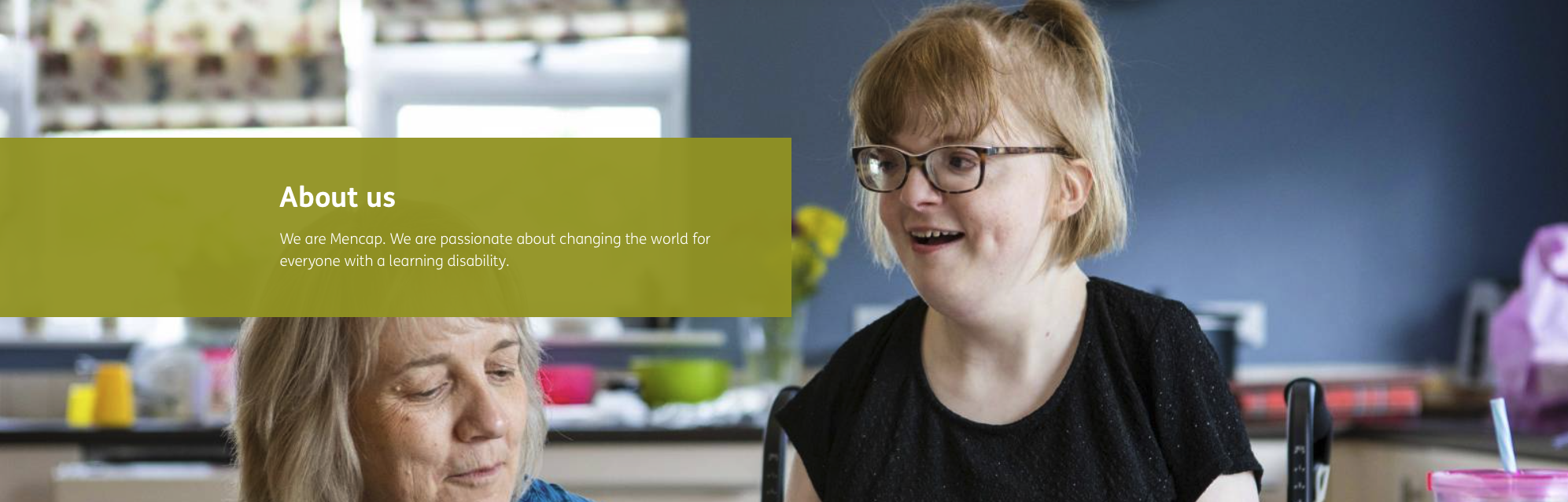 Link to Mencap site